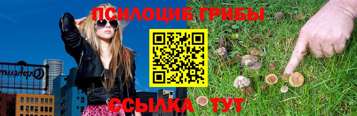 Галлюциногенные грибы Psilocybine cubensis Керчь