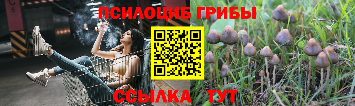 Керчь  Галлюциногенные грибы прущие грибы  Галлюциногенные грибы мицелий  Вход с VPN 